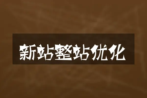 新站整站优化